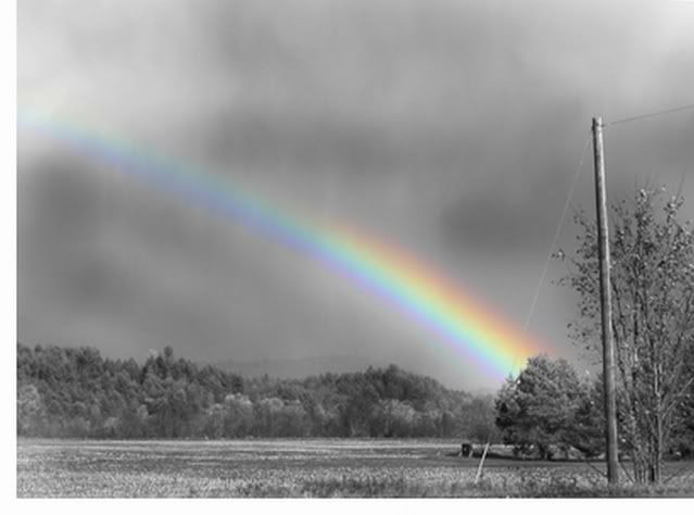 black-and-white.jpg Rainbow