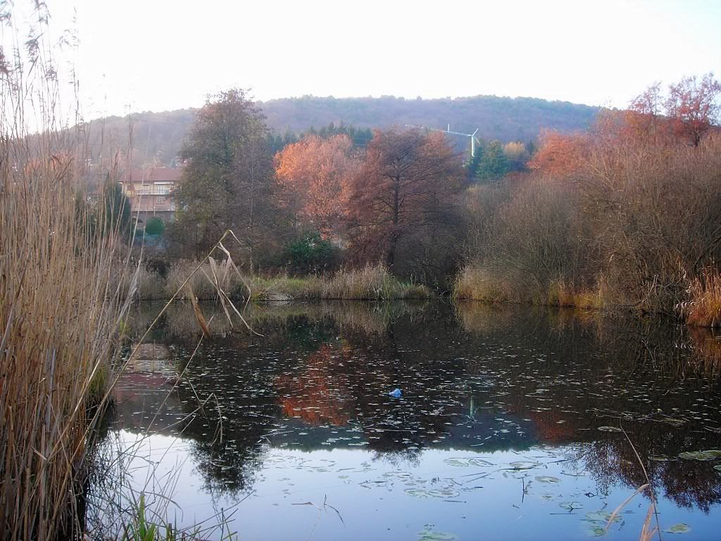 LAGO DI COMABBIO Pictures, Images and Photos