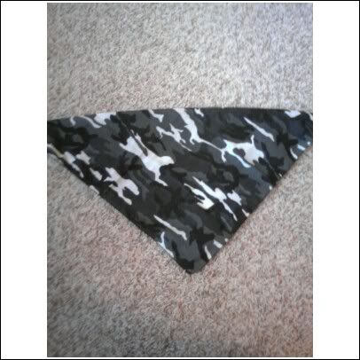 bandana-2.jpg