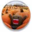 DOMO! Pictures, Images and Photos