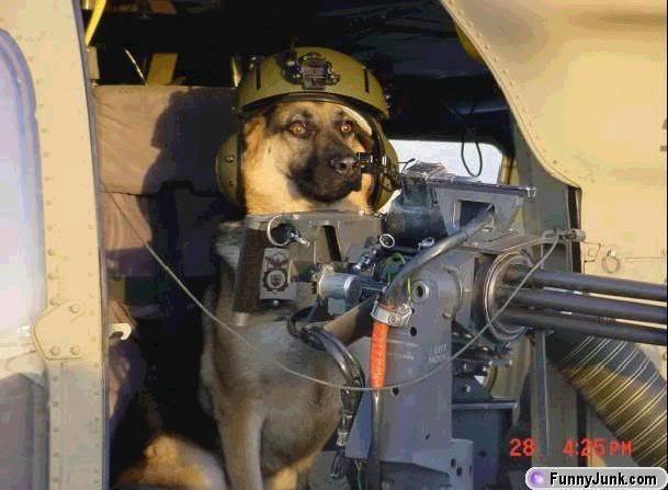 German War Dog