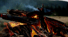 fire_1.gif