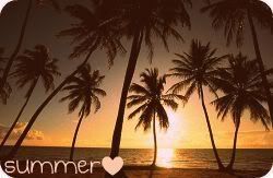 SUMMER Pictures, Images and Photos
