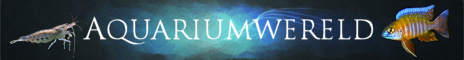 Aquariumwereld