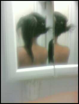 Jan2009aftertrim.jpg