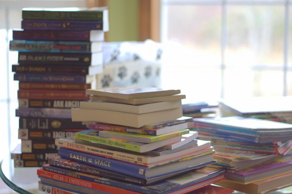 books 1 photo Bookdrive012CR2_zpsab0140fc.jpg