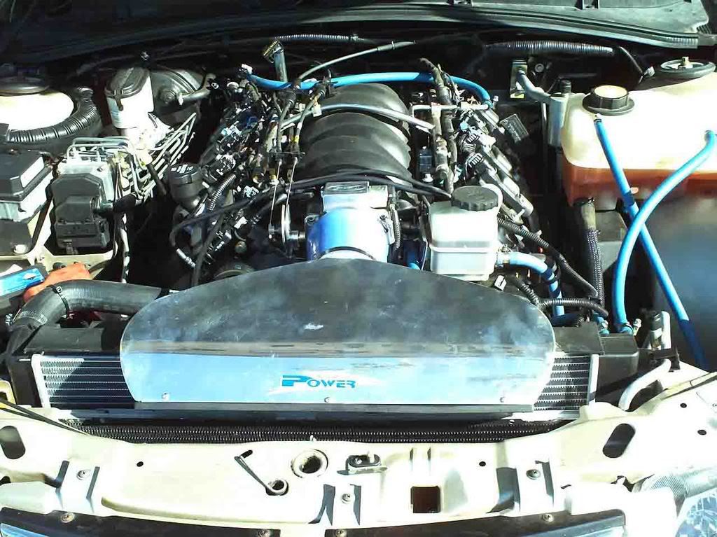 VT Calais 50th Anniversary Calais LS2 Just Commodores