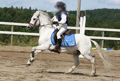 _MG_4034.jpg