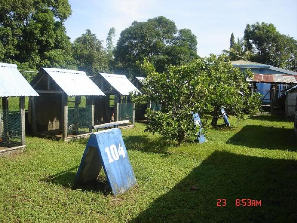 http://i397.photobucket.com/albums/pp58/JADEFARM2003/jadefarm1241.jpg