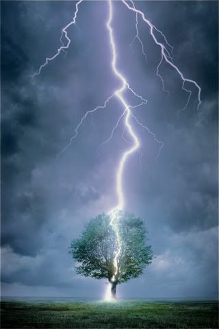 lightning tree photo: lightning tree Lightning_Tree.jpg