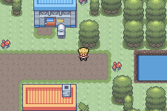[PokeCommunity.com] Pokemon Plasma Force