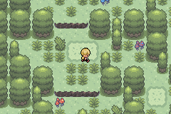 [PokeCommunity.com] Pokemon Plasma Force